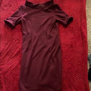 Elegant Burgundy Dress